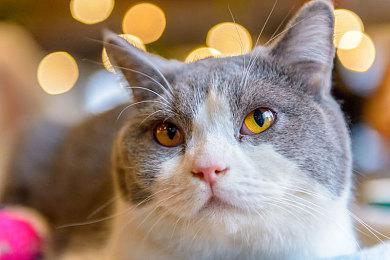 《夺宝奇兵：古老之圈》拥有多个关卡场景与新老角色